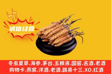 衡水景县回收冬虫夏草